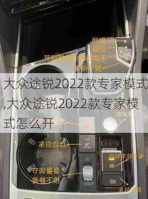 大众途锐2022款专家模式,大众途锐2022款专家模式怎么开