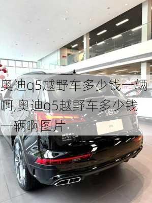 奥迪q5越野车多少钱一辆啊,奥迪q5越野车多少钱一辆啊图片