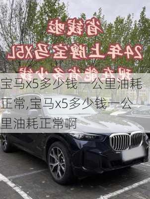 宝马x5多少钱一公里油耗正常,宝马x5多少钱一公里油耗正常啊