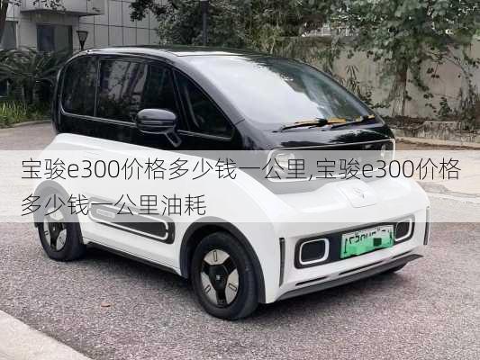 宝骏e300价格多少钱一公里,宝骏e300价格多少钱一公里油耗