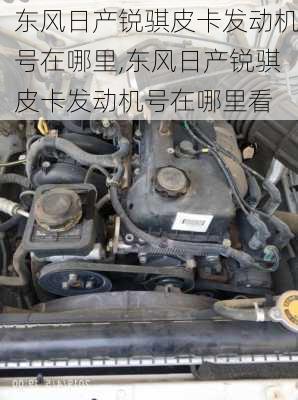 东风日产锐骐皮卡发动机号在哪里,东风日产锐骐皮卡发动机号在哪里看