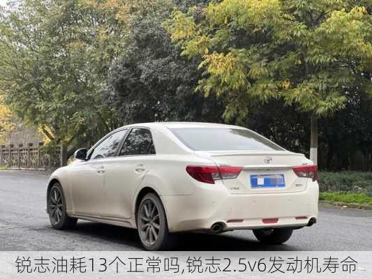 锐志油耗13个正常吗,锐志2.5v6发动机寿命