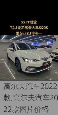 高尔夫汽车2022款,高尔夫汽车2022款图片价格