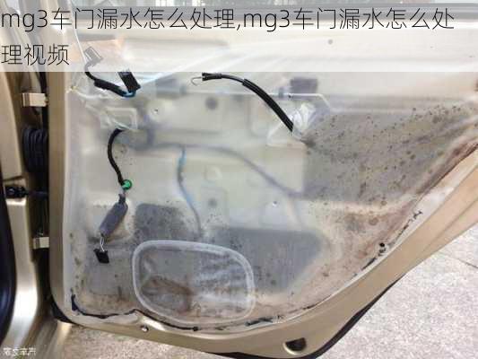 mg3车门漏水怎么处理,mg3车门漏水怎么处理视频