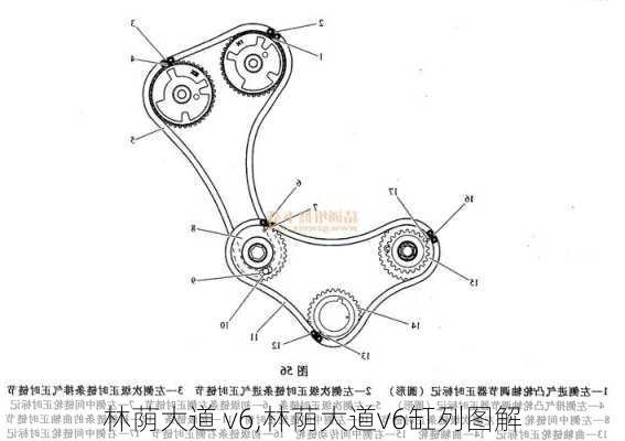 林荫大道 v6,林荫大道v6缸列图解