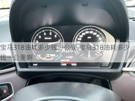 宝马318油耗多少钱一公里,宝马318油耗多少钱一公里啊