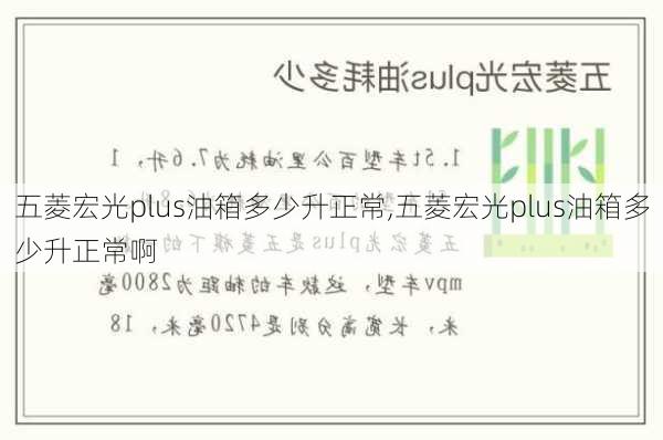 五菱宏光plus油箱多少升正常,五菱宏光plus油箱多少升正常啊