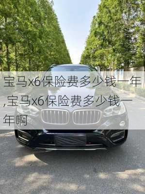 宝马x6保险费多少钱一年,宝马x6保险费多少钱一年啊