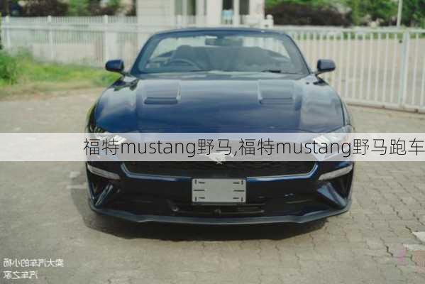 福特mustang野马,福特mustang野马跑车