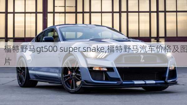 福特野马gt500 super snake,福特野马汽车价格及图片