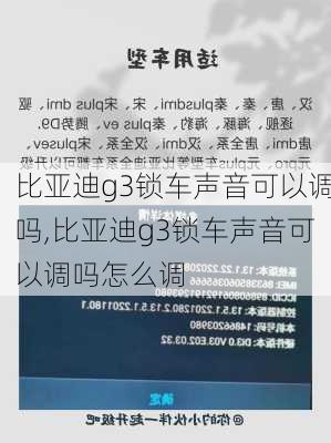 比亚迪g3锁车声音可以调吗,比亚迪g3锁车声音可以调吗怎么调