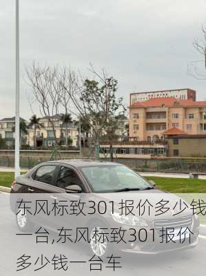 东风标致301报价多少钱一台,东风标致301报价多少钱一台车