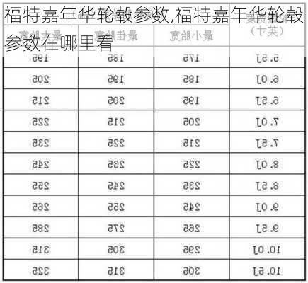 福特嘉年华轮毂参数,福特嘉年华轮毂参数在哪里看