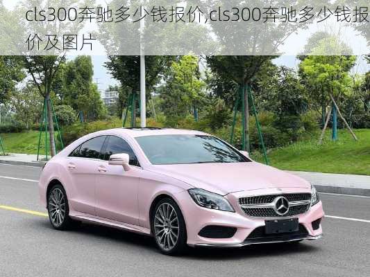 cls300奔驰多少钱报价,cls300奔驰多少钱报价及图片