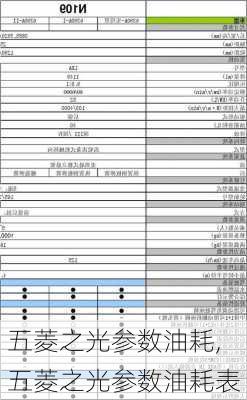 五菱之光参数油耗,五菱之光参数油耗表