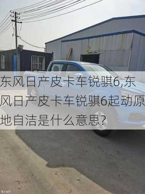 东风日产皮卡车锐骐6,东风日产皮卡车锐骐6起动原地自洁是什么意思?