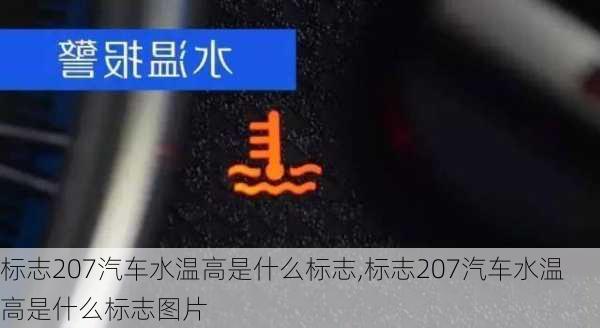 标志207汽车水温高是什么标志,标志207汽车水温高是什么标志图片