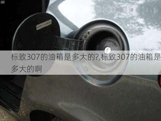 标致307的油箱是多大的?,标致307的油箱是多大的啊