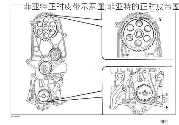 菲亚特正时皮带示意图,菲亚特的正时皮带图