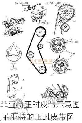 菲亚特正时皮带示意图,菲亚特的正时皮带图