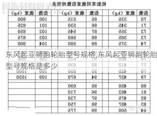 东风起亚狮跑轮胎型号规格,东风起亚狮跑轮胎型号规格是多少