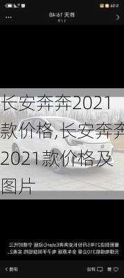 长安奔奔2021款价格,长安奔奔2021款价格及图片