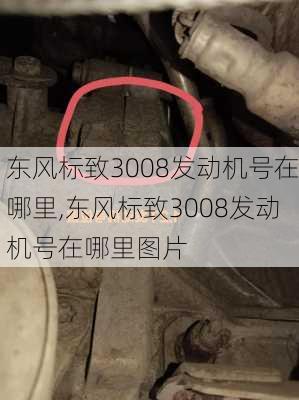 东风标致3008发动机号在哪里,东风标致3008发动机号在哪里图片