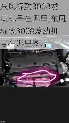 东风标致3008发动机号在哪里,东风标致3008发动机号在哪里图片