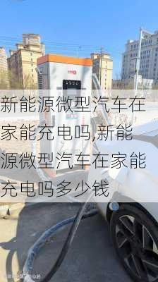 新能源微型汽车在家能充电吗,新能源微型汽车在家能充电吗多少钱