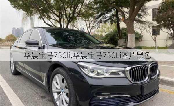 华晨宝马730li,华晨宝马730Li图片黑色