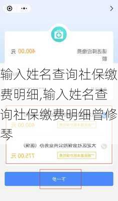 输入姓名查询社保缴费明细,输入姓名查询社保缴费明细曾修琴