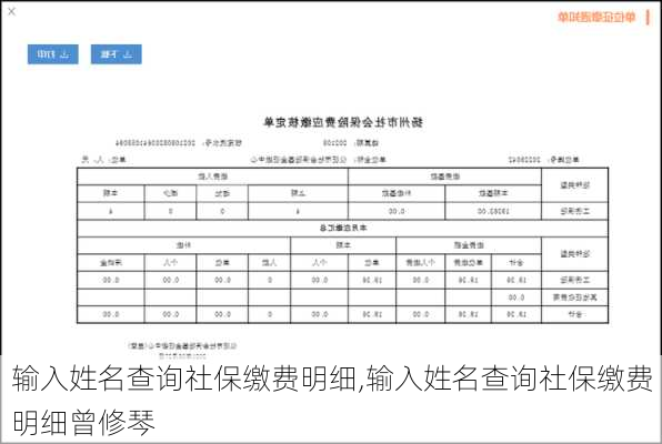 输入姓名查询社保缴费明细,输入姓名查询社保缴费明细曾修琴