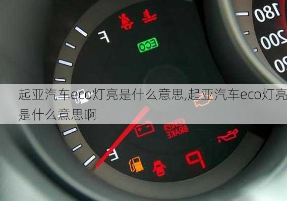 起亚汽车eco灯亮是什么意思,起亚汽车eco灯亮是什么意思啊