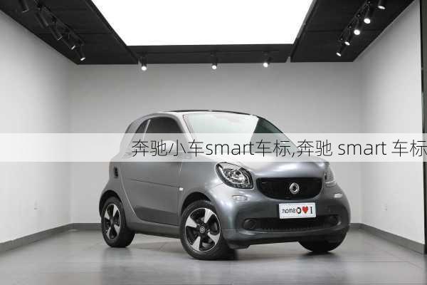 奔驰小车smart车标,奔驰 smart 车标