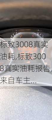 标致3008真实油耗,标致3008真实油耗报告,来自车主...