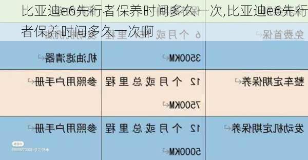 比亚迪e6先行者保养时间多久一次,比亚迪e6先行者保养时间多久一次啊