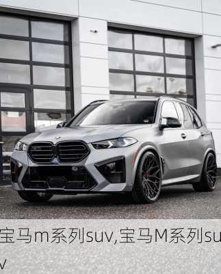 宝马m系列suv,宝马M系列suv