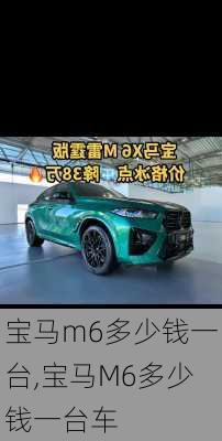 宝马m6多少钱一台,宝马M6多少钱一台车