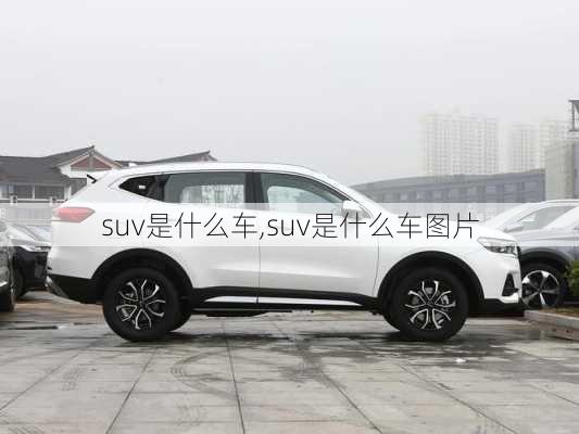 suv是什么车,suv是什么车图片