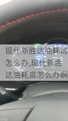 现代新胜达油耗高怎么办,现代新胜达油耗高怎么办啊