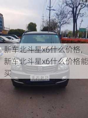 新车北斗星x6什么价格,新车北斗星x6什么价格能买