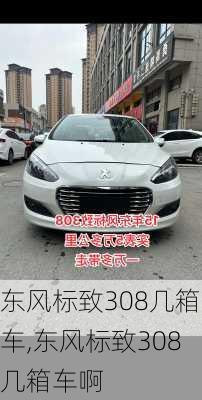 东风标致308几箱车,东风标致308几箱车啊