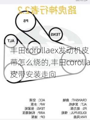 丰田corollaex发动机皮带怎么绕的,丰田corolla皮带安装走向