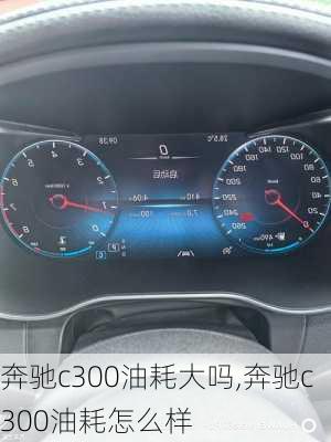 奔驰c300油耗大吗,奔驰c300油耗怎么样