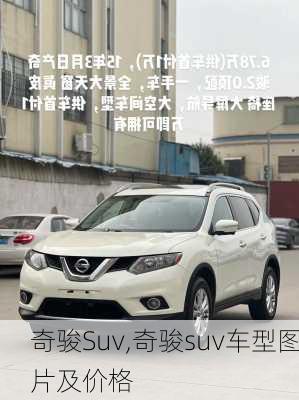 奇骏Suv,奇骏suv车型图片及价格