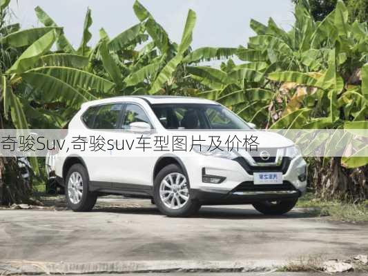 奇骏Suv,奇骏suv车型图片及价格