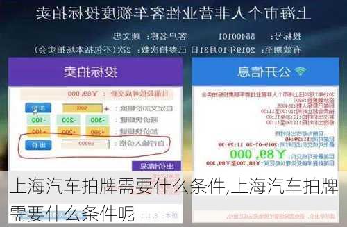 上海汽车拍牌需要什么条件,上海汽车拍牌需要什么条件呢