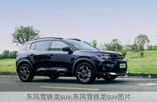 东风雪铁龙suv,东风雪铁龙suv图片