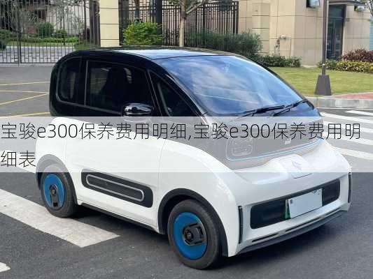 宝骏e300保养费用明细,宝骏e300保养费用明细表