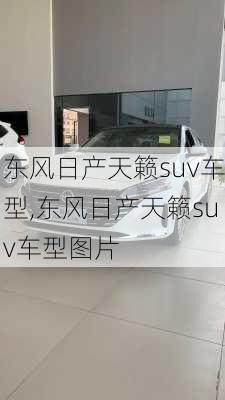 东风日产天籁suv车型,东风日产天籁suv车型图片